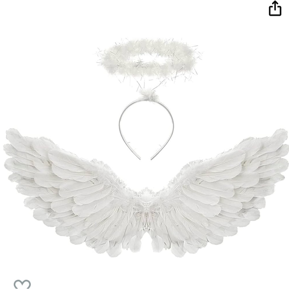 Angel Wings and Halo